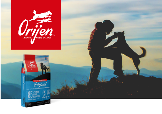 Best orijen outlet dog food